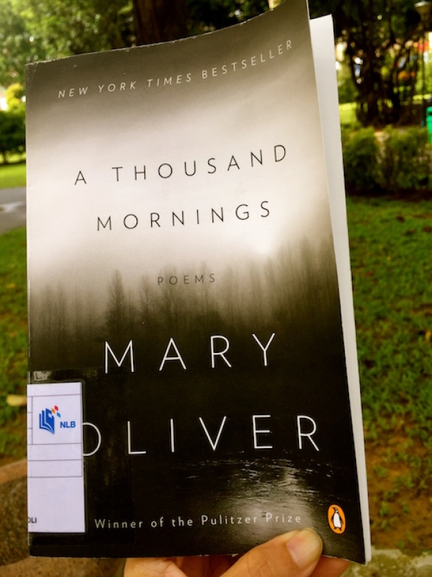 https://gatheringbooks.org/2016/03/04/poetry-friday-the-beauty-of-a-thousand-mornings-by-mary-oliver/